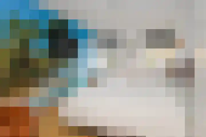Damast 5 Almelo thumbnail 22
