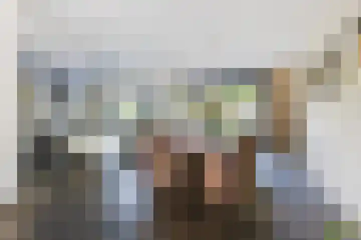 Damast 7 Geldrop thumbnail 14