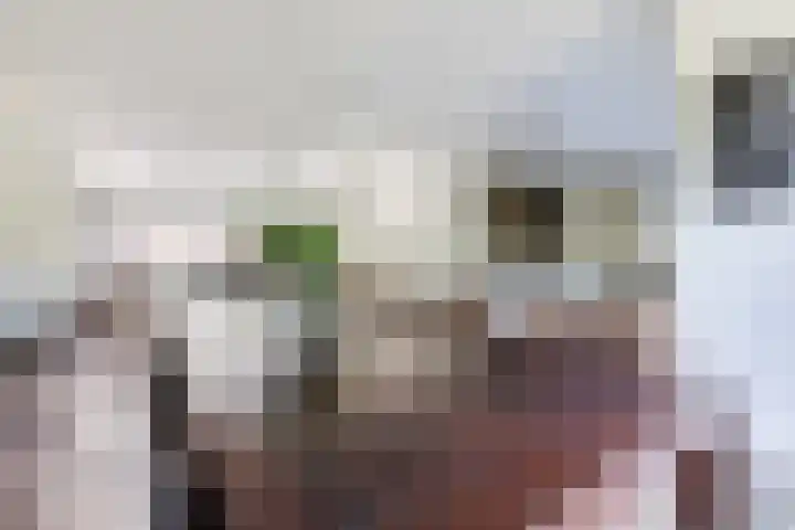 Damast 7 Geldrop thumbnail 16