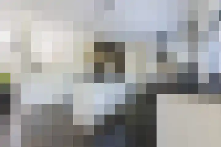 Damast 7 Geldrop thumbnail 17