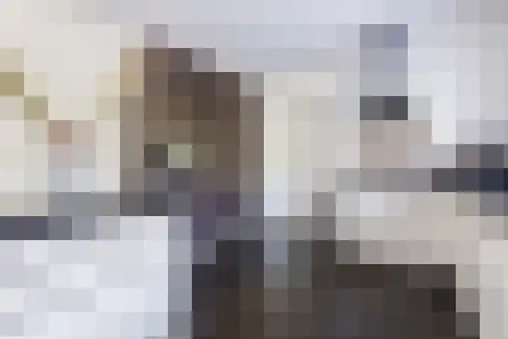 Damast 7 Geldrop thumbnail 19