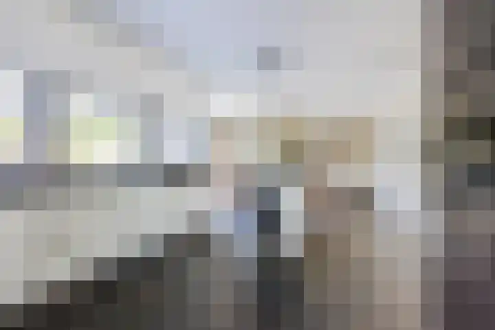 Damast 7 Geldrop thumbnail 20