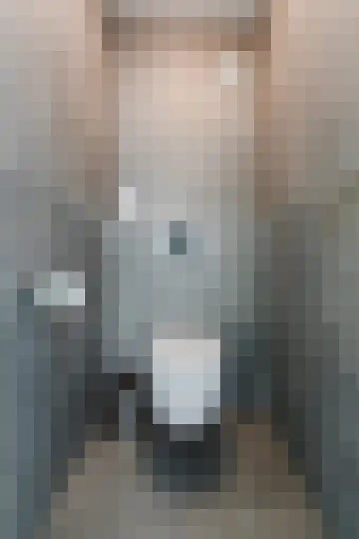 Damast 7 Geldrop thumbnail 24