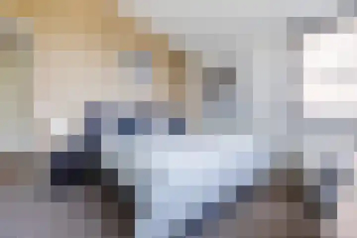 Damast 7 Geldrop thumbnail 29