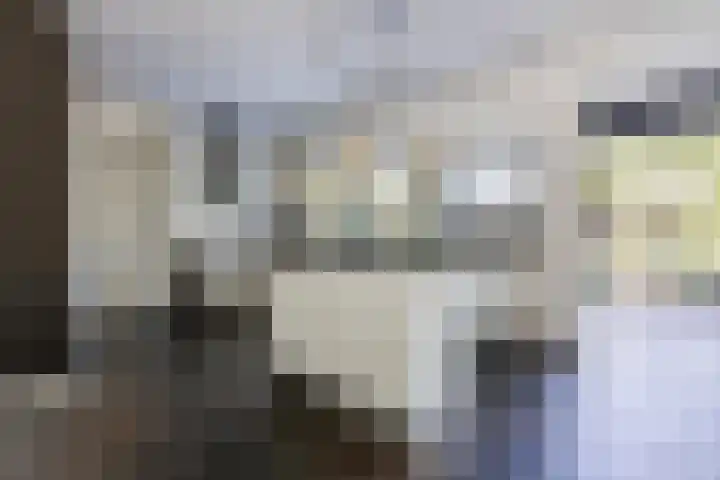 Damast 7 Geldrop foto 3