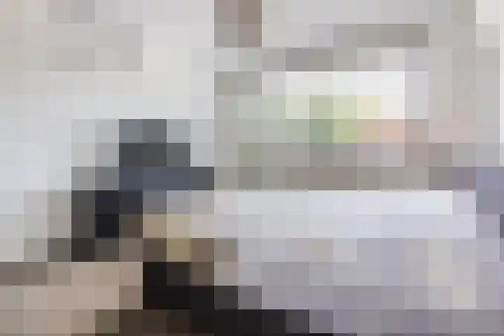 Damast 7 Geldrop thumbnail 35