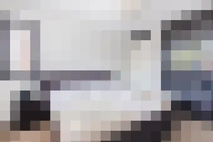 Damast 7 Geldrop thumbnail 37