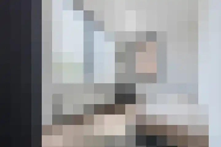 Damast 7 Geldrop thumbnail 38