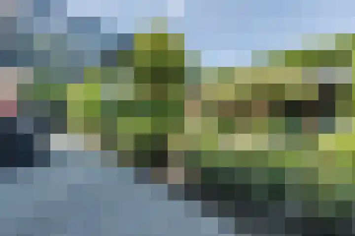 Damast 7 Geldrop thumbnail 49