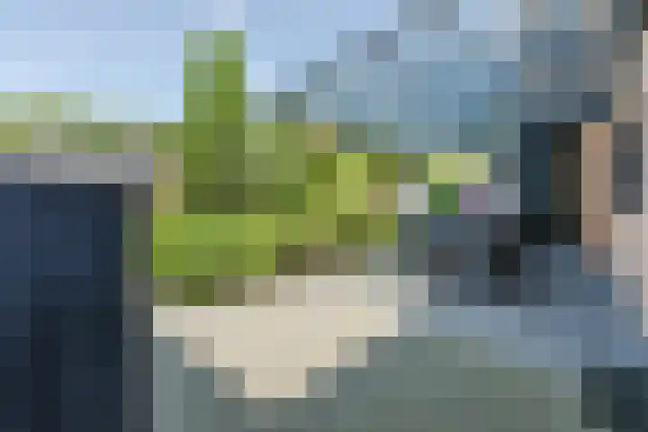 Damast 7 Geldrop thumbnail 51