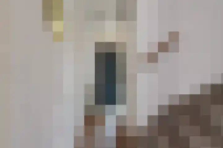 Damasthof 12 Boxtel thumbnail 4
