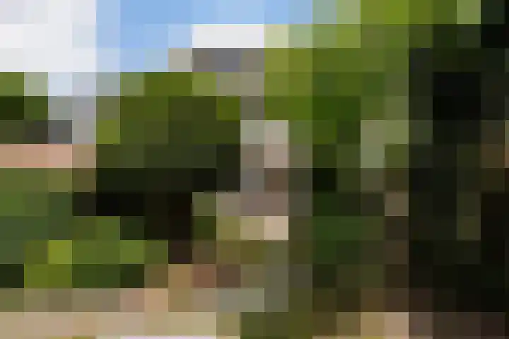 Damasthof 12 Boxtel thumbnail 40