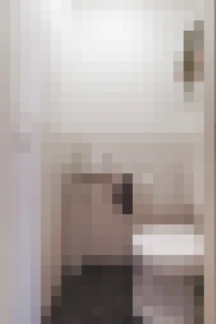 Damasthof 12 Boxtel thumbnail 6