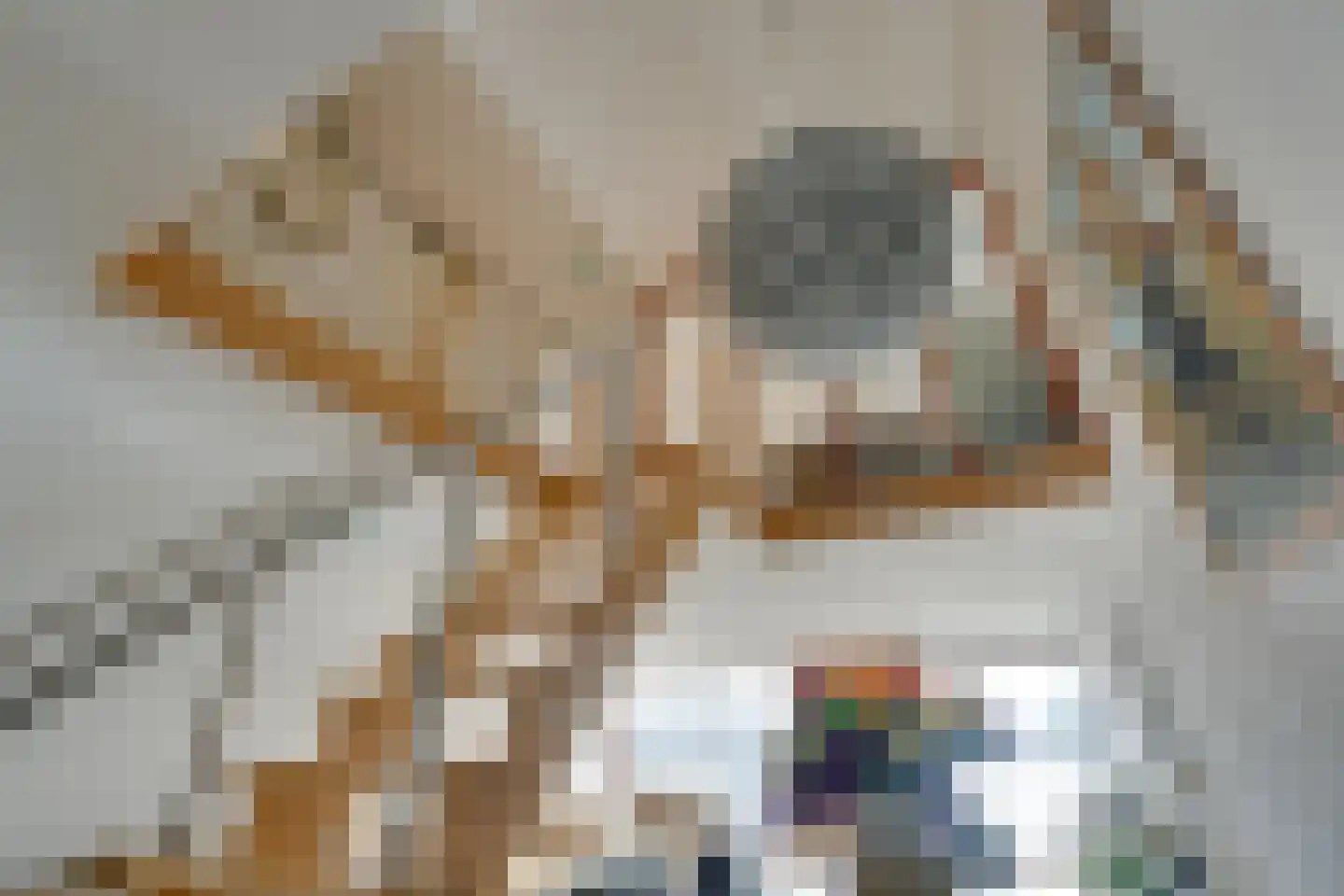 Team foto van Damdrecht Makelaars