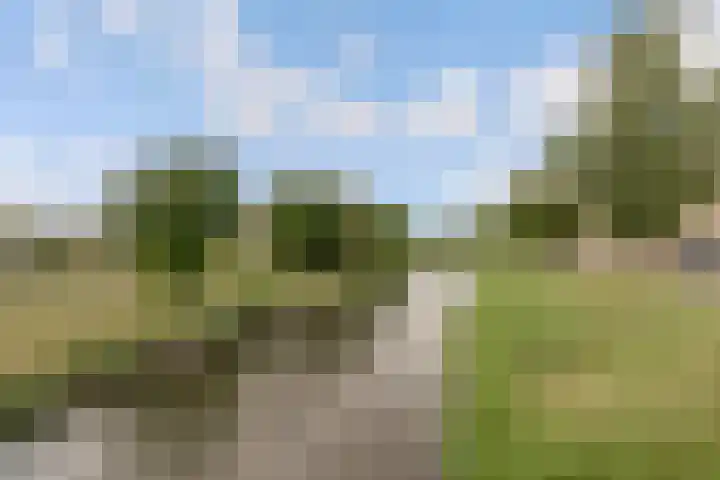 Logo Damen Makelaardij | Roermond