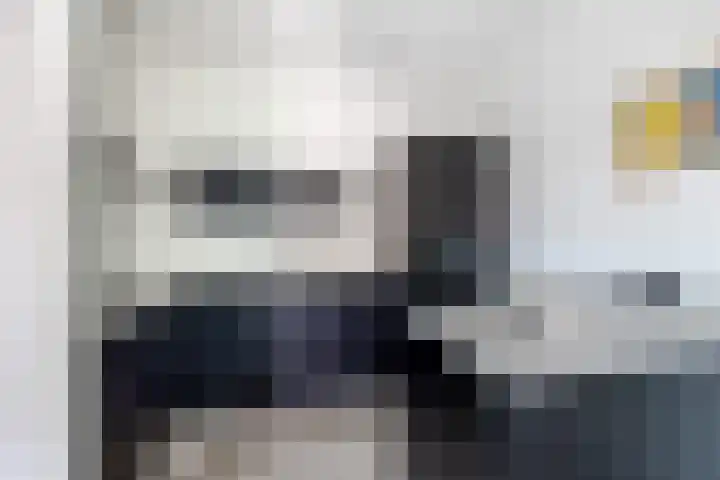 Damlaan 1 E Leidschendam thumbnail 12
