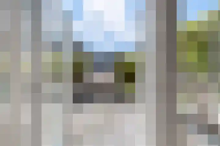 Damlaan 1 E Leidschendam thumbnail 15
