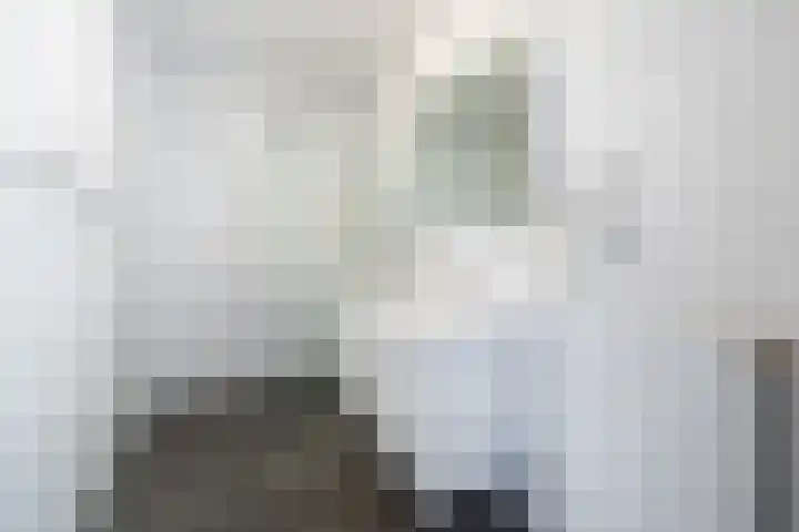 Damlaan 1 E Leidschendam thumbnail 20