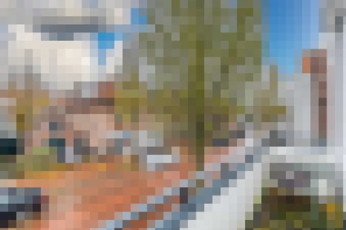 Damlaan 52 Leidschendam thumbnail 15