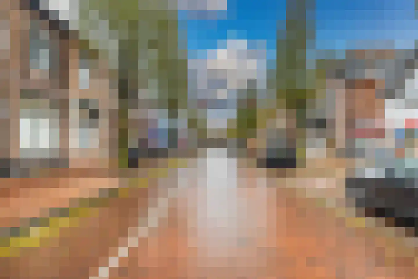 Damlaan 52 Leidschendam thumbnail 28