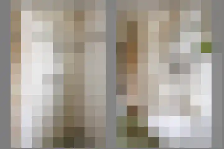 Damlust 8 Leersum thumbnail 13