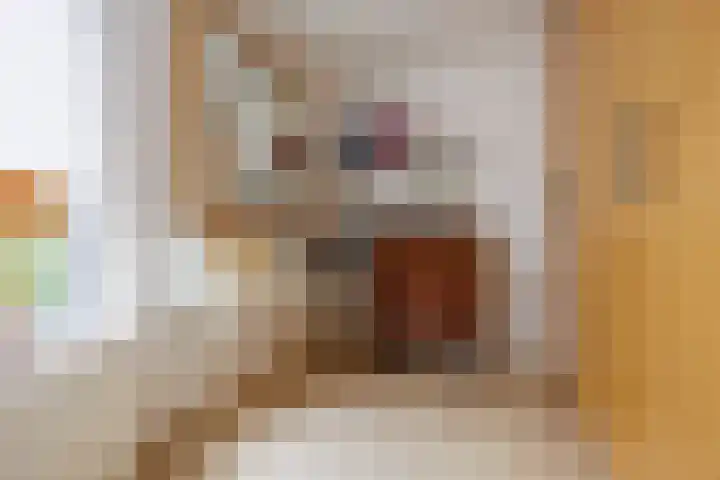 Damlust 8 Leersum thumbnail 15