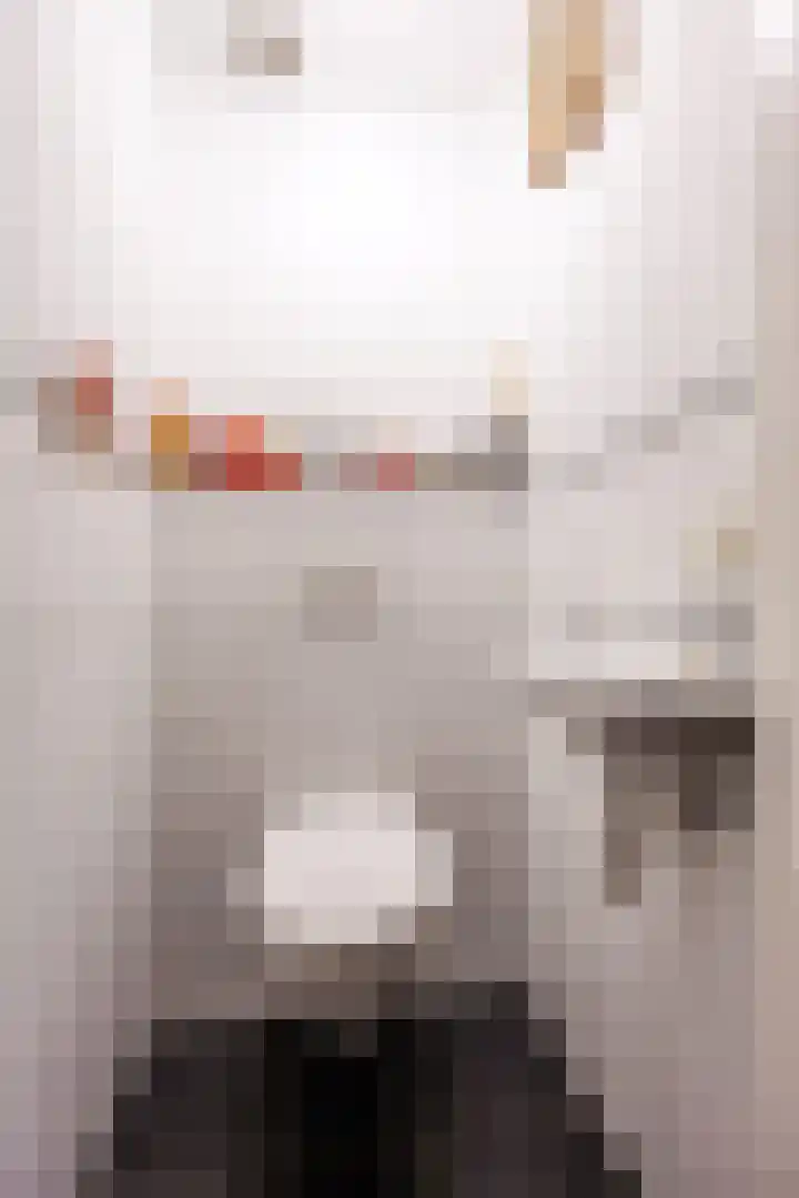 Damlust 8 Leersum thumbnail 17