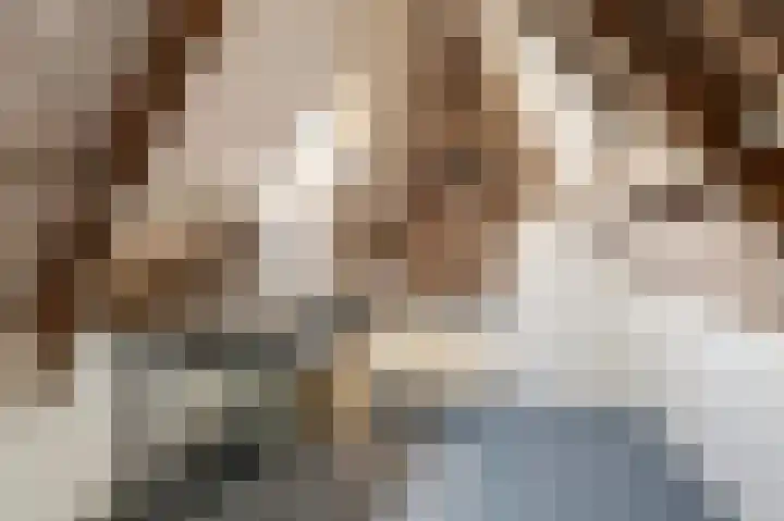Dammenseweg 37 Koudum thumbnail 16