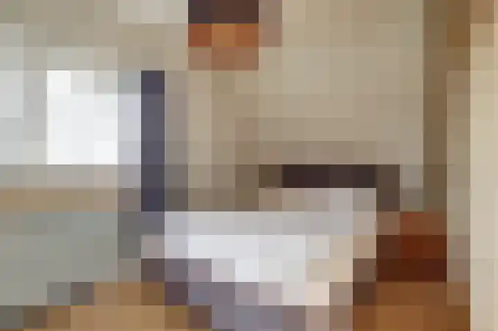 Dammenseweg 37 Koudum thumbnail 19