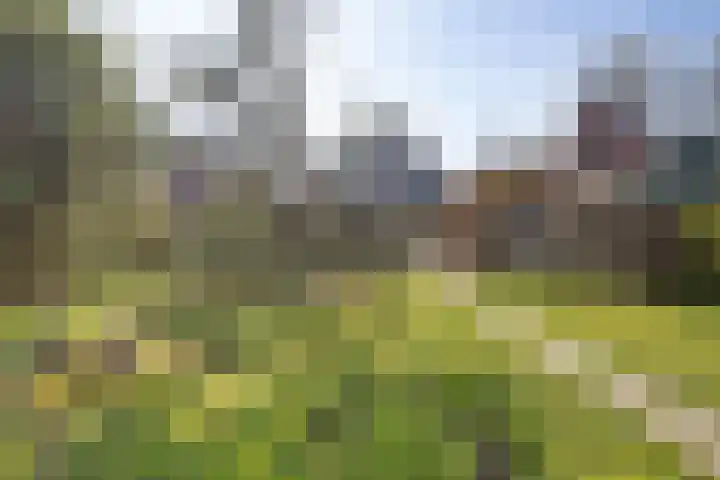 Dammenseweg 37 Koudum thumbnail 26