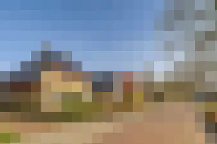 Dammenseweg 37 Koudum thumbnail 29