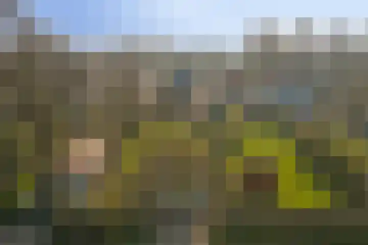Dammenseweg 37 Koudum thumbnail 32