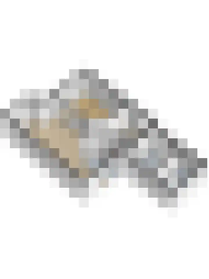 Dammenseweg 37 Koudum thumbnail 36