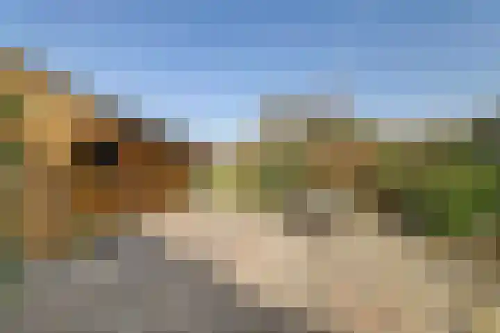 Dammenseweg 37 Koudum thumbnail 4