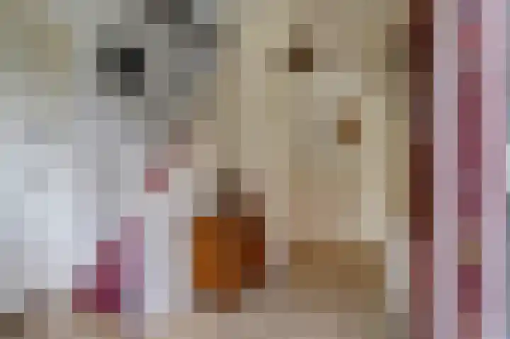 Dammenseweg 37 Koudum thumbnail 5