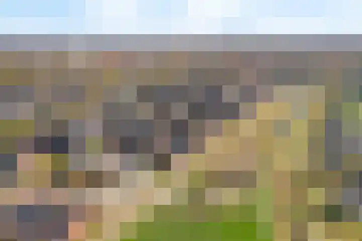 Dammersbeek 19 Nijkerk thumbnail 67