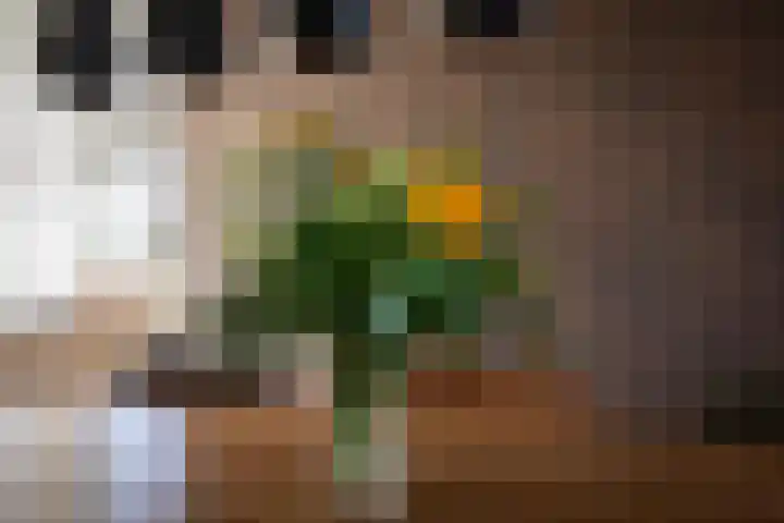 Dammersbeek 57 Nijkerk thumbnail 14