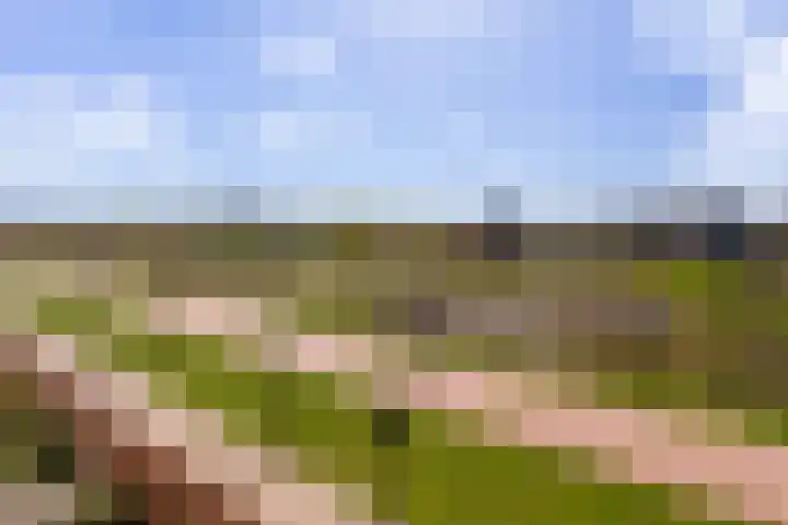 Dammersbeek 57 Nijkerk thumbnail 22