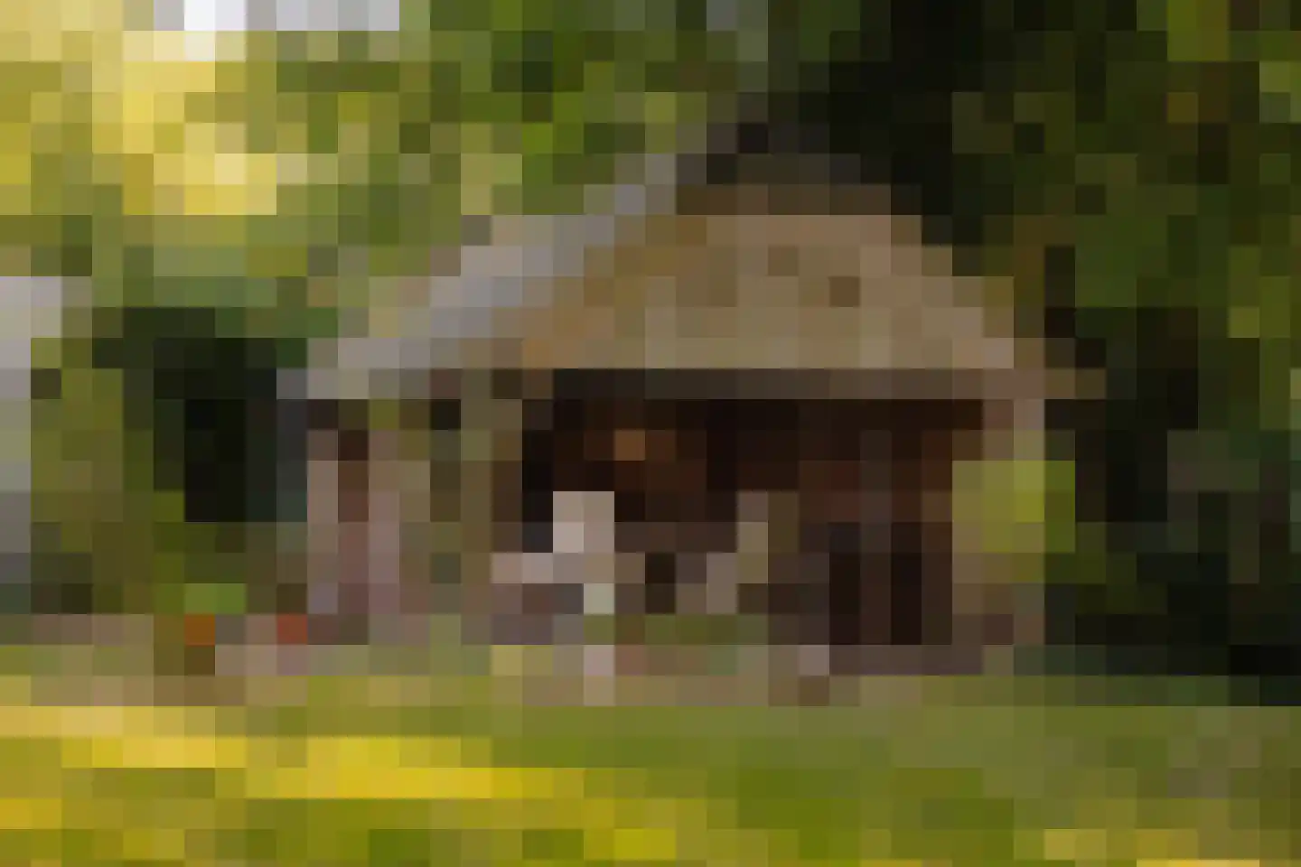 Dammerweg 10 Weesp thumbnail 39