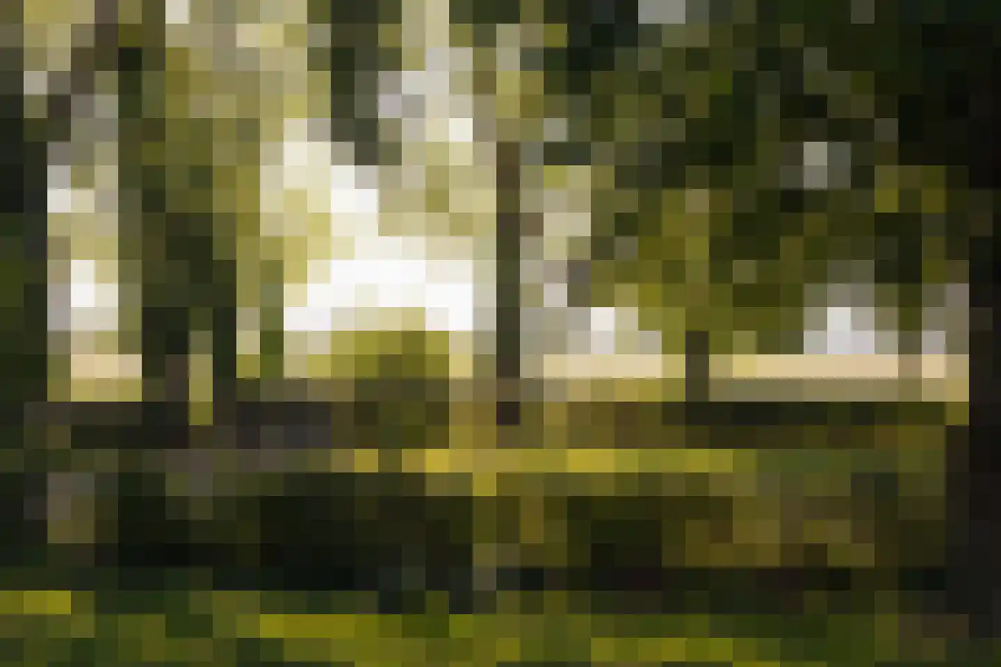 Dammerweg 10 Weesp thumbnail 41