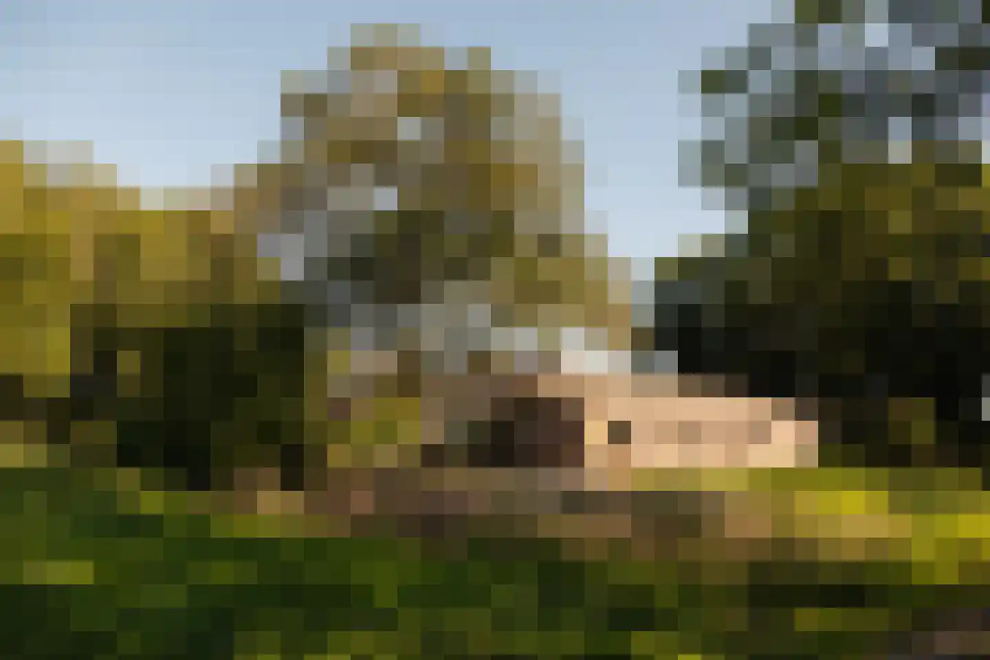 Dammerweg 10 Weesp thumbnail 44