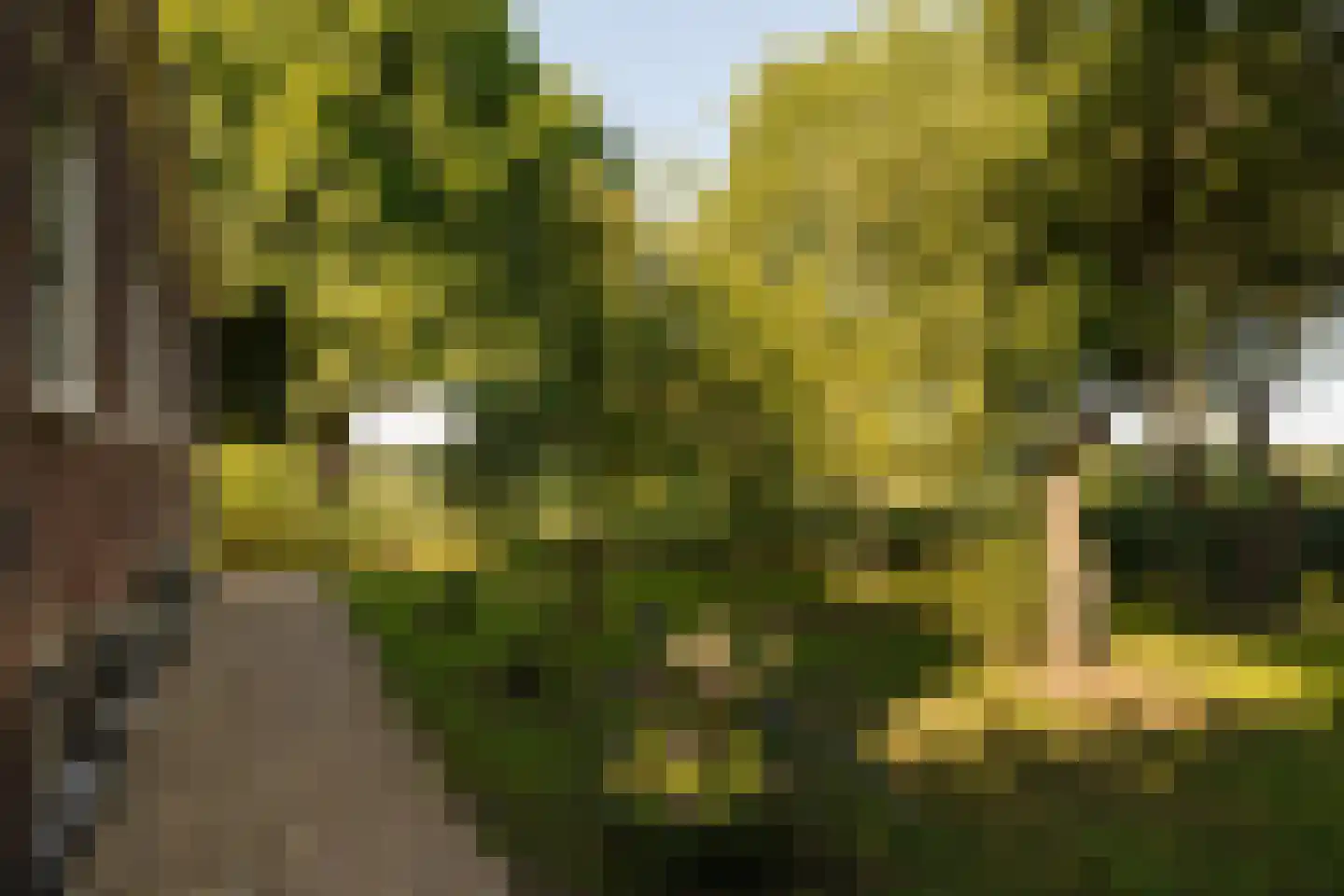 Dammerweg 10 Weesp thumbnail 47