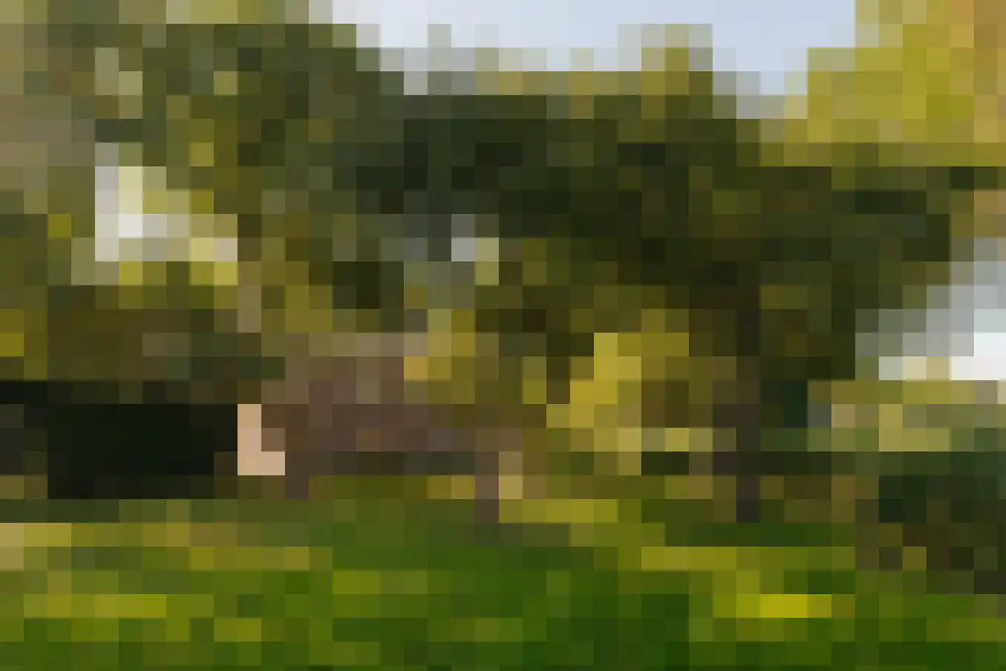 Dammerweg 10 Weesp thumbnail 48