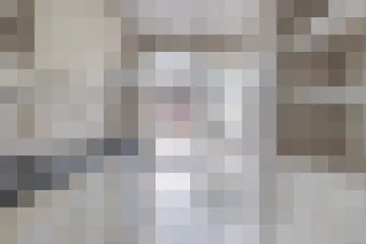 Dammolen 124 Harmelen thumbnail 11