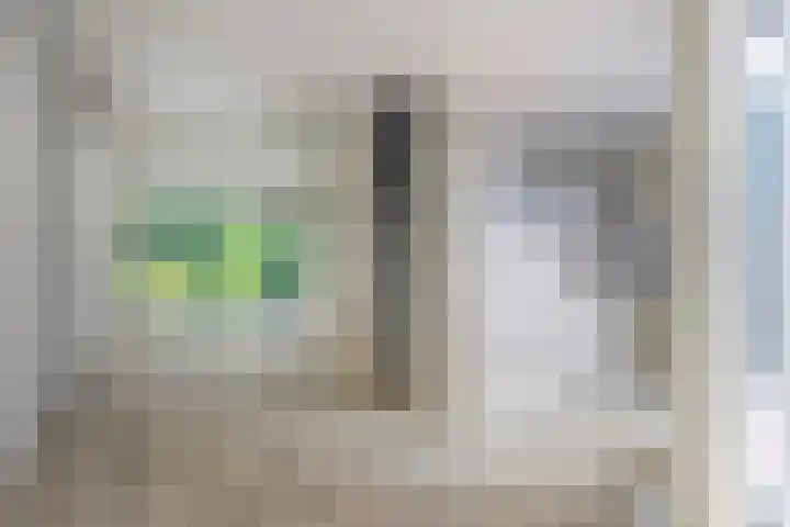Dammolen 124 Harmelen foto 3