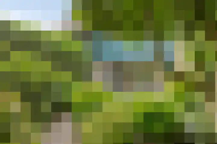 Dammolen 124 Harmelen thumbnail 30