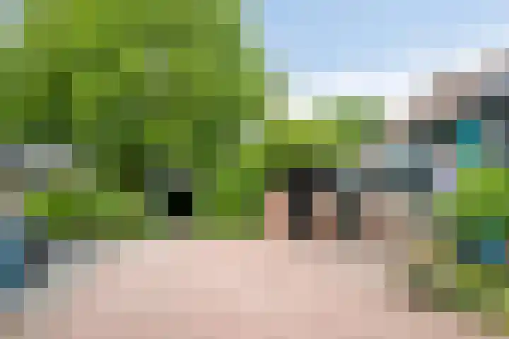 Dammolen 124 Harmelen thumbnail 33
