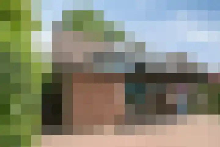 Dammolen 124 Harmelen thumbnail 34