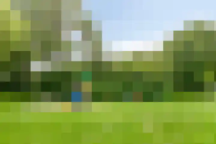Dammolen 124 Harmelen thumbnail 36