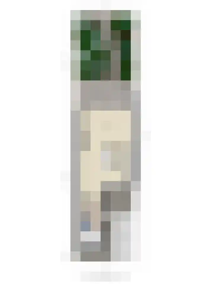 Dammolen 124 Harmelen thumbnail 39